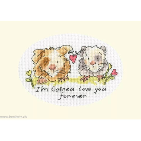 Bothy Threads, kit carte de voeux I'm guinea love you forever (BOXGC41)