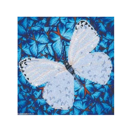 Diamond Dotz, kit diamant niveau 2- PAPILLON BLANC (DD5021)