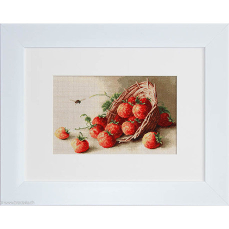 Luca-S, kit Basket of strawberries (LUCAB497)