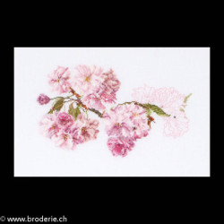 Thea Gouverneur, kit Prunus (G0512)