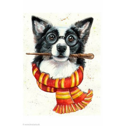 Wizardi, kit diamant Border Collie wizard (WIWD2697)