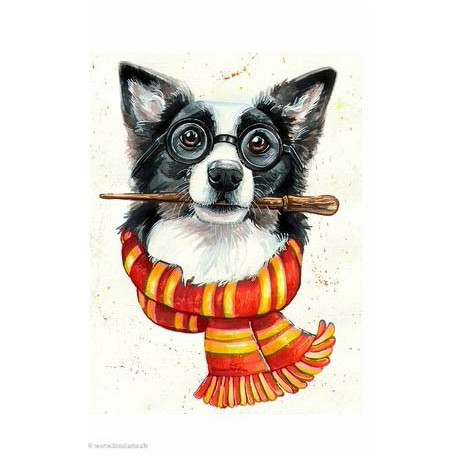 Wizardi, kit diamant Border Collie wizard (WIWD2697)