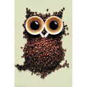 Wizardi, kit diamant Coffee Owl (WIWD242)