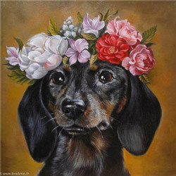 Wizardi, kit diamant Dachshund in Flowers (WIWD2465)