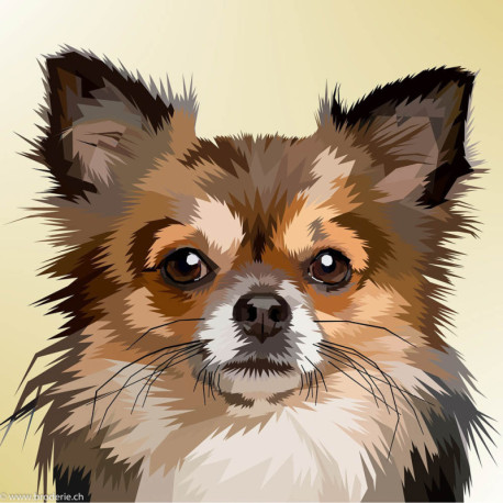 Wizardi, kit diamant Dog Portrait (WIWD2305)