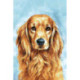 Wizardi, kit diamant Faithful Dog (WIWD180)