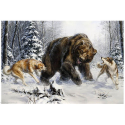 Wizardi, kit diamant Huskies and Bear (WIWD2456)