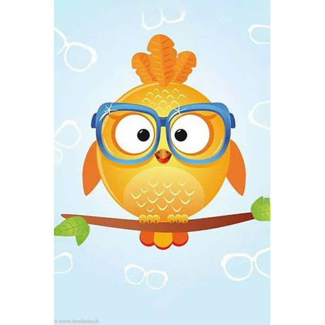 Wizardi, kit diamant Owl Leo (WIWD249)