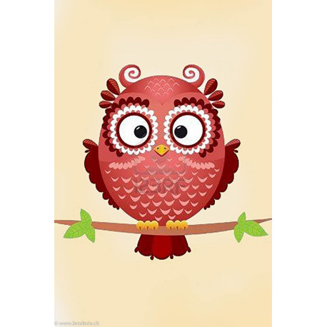 Wizardi, kit diamant Owl Phil (WIWD250)