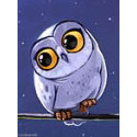 Wizardi, kit diamant Owlet (WIWD278)