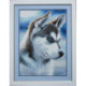 Wizardi, kit diamant Snow Dog (WIWD088)