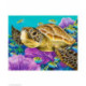 Wizardi, kit diamant Young Green Sea Turtle (WIWD2428)