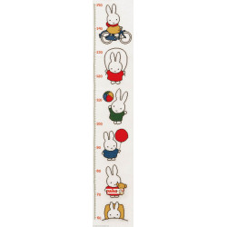 Pako, kit Dick Bruna Toise Miffy (PA222.651)