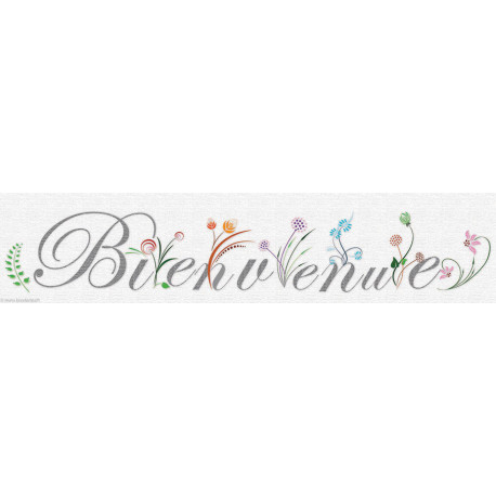 Princesse, kit Bienvenue fleurs sauvages (PR7589)