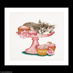 Thea Gouverneur, kit chaton et gourmandises (G0742)