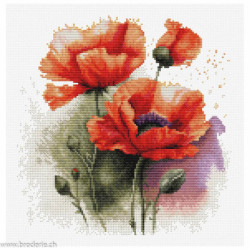 Luca-S, kitThe Poppy Flowers (LUCASB7024)