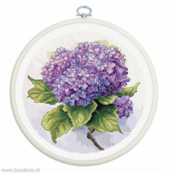 Luca-S, kit Hydrangea (LUCASBC225)