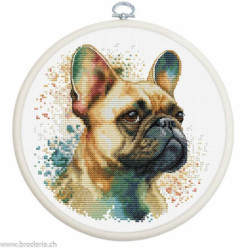 Luca-S, kit The French Bulldog (LUCASBC207)