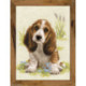 Riolis, kit Basset Hound Puppy (RI1578)