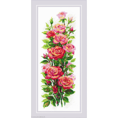 Riolis, kit Blooming Roses (RI2057)