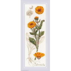 Riolis, kit Calendula (RI1798)