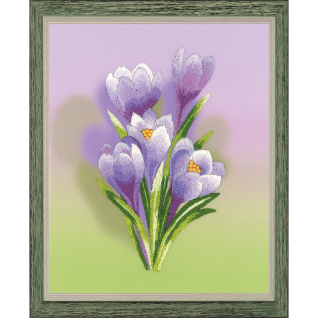 Riolis, kit Crocuses (RIPT-0065)