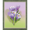 Riolis, kit Crocuses (RIPT-0065)