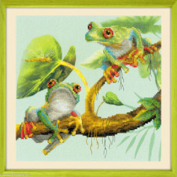 Riolis, kit Frogs (RIPT-0083)