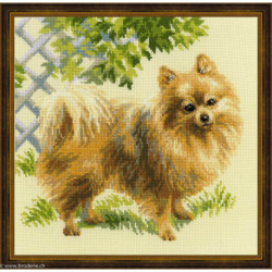 Riolis, kit Pomeranian (RI1585)