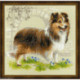 Riolis, kit Sheltie (RI1710)