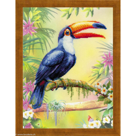 Riolis, kit Toucan (RIPT-0077)