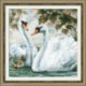 Riolis, kit White Swans (RI1726)