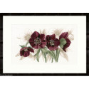 Lanarte, kit Hellebores (LA0021206)