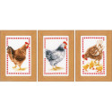 Vervaco, kit lot de 3 tableaux Poules (PN0146565)