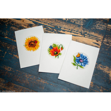 Vervaco, kit lots de 3 carte de voeux Fleurs d'été (PN0147922)