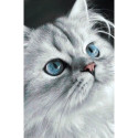 Wizardi, kit diamant Cat eyes (WIWD3003)