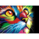 Wizardi, kit diamant Rainbow Cat (WIWD200)