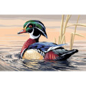 Collection d'Art, kit diamant carte Mandarin Duck (CADCCF037)