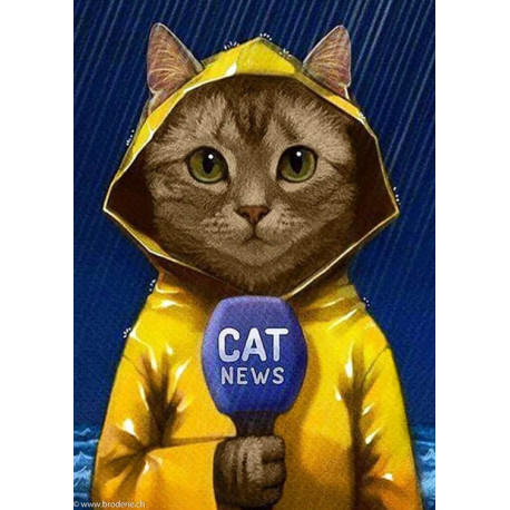 Collection d'Art, kit diamant Cat-reporter (CADE7025)