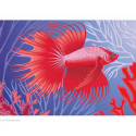 Collection d'Art, kit diamant Exotic fish (CADE7095)