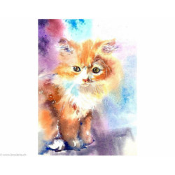 Collection d'Art, kit diamant Kitten (CADE7099)