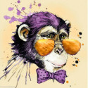 Collection d'Art, kit diamant Mr Monkey (CADE7006)