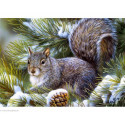 Collection d'Art, kit diamant Squirrel pup (CADE473)