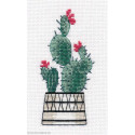 Oven, kit Pear cactus (OV1489)