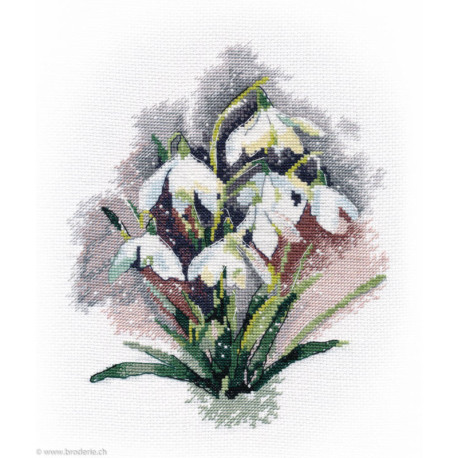 Oven, kit Snowdrops (OV1292)