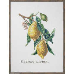 Eva Rosenstand, kit Citrus-Limon (EV12-850)