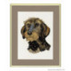 Eva Rosenstand, kit Dachshund (EV12-908)