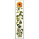 Eva Rosenstand, kit Sunflower 25x118cm (EV08-3095)