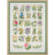 Permin, kit ABC herbes et fleurs (PE70-9589)