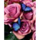 ArtCity, kit diamant Lovely roses (ACDP010)